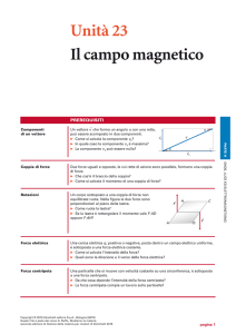 Il campo magnetico - Zanichelli online per la scuola