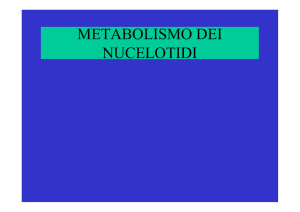 METABOLISMO DEI NUCELOTIDI