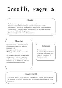 Insetti, ragni - Centro Didattico Scientifico