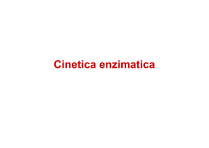 Cinetica enzimatica