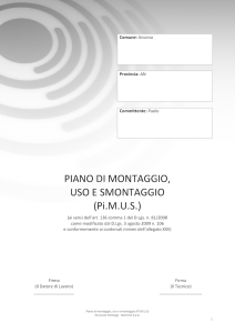 PIANO DI MONTAGGIO, USO E SMONTAGGIO (Pi