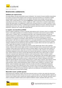Biodiversità e adattamento