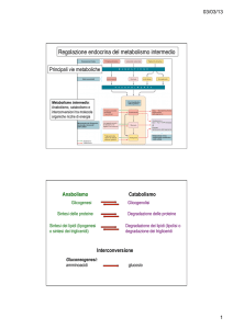 12_Metabolismo del glucosio
