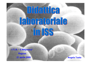 Dal glucosio a piruvato ed energia