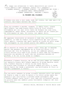 L`ALBERO SPOG - La Teca Didattica