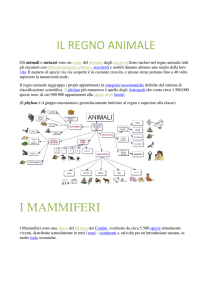 canis lupus - Liceo Classico Galluppi