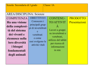 Vermi