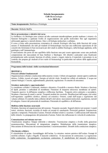 NOME INSEGNAMENTO:
