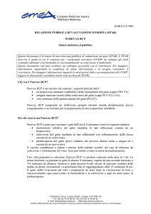EMEA/V/C/090 RELAZIONE PUBBLICA DI - EMA