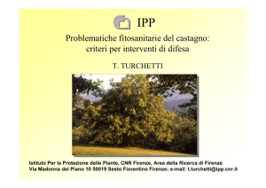 Problematiche fitosanitarie del castagno: criteri per interventi di difesa
