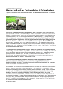 Allarme negli ovili per l`arrivo del virus di Schmallemberg