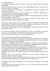 Senza titolo-1
