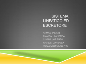 apparato escretore - Blog Scuola Secondaria I^grado Monza