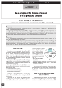 La componente biomeccanica della postura umana