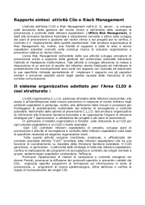Rapporto sintesi attività Clio e Risck Management Il sistema