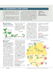 La riproduzione nelle piante - Zanichelli online per la scuola