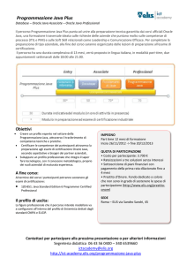 Programmazione Java Plus