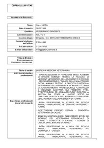 curriculum vitae
