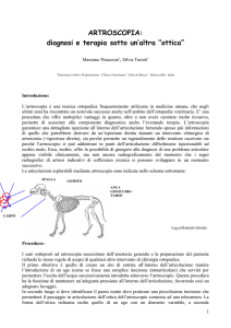 ARTROSCOPIA - Massimo Petazzoni