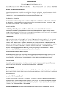 programma finale IIMA - tecnico professionale arezzo
