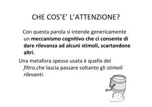 attenzione slides sara castello