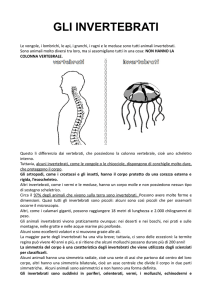 gli invertebrati - Scuole Paradiso
