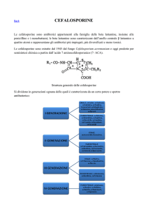 CEFALOSPORINE