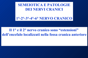Nessun titolo diapositiva