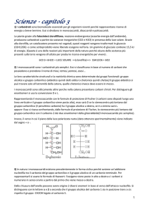 CAP 3 risposte - Tana dello studente