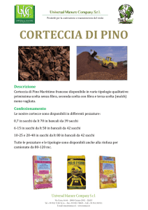 corteccia-pino-marittimo-st
