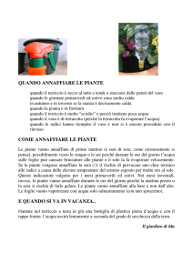 Annaffiare le piante