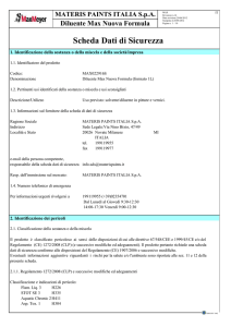 Scheda di Sicurezza