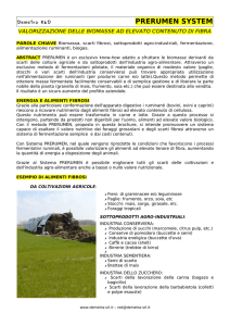 PDF Pagina - Demetra SRL