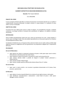 MECCANICA DELLE STRUTTURE E DEI SOLIDI (6 CFU