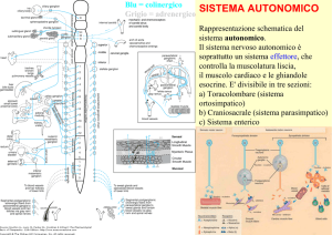 Capitolo 12 - Anticolinesterasici