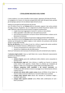 evoluzione uomo - Colori dei bambini