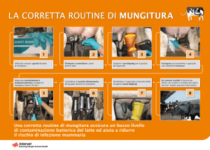 Scarica il Poster sulla corretta routine di mungitura
