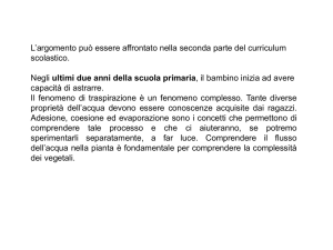 2.38 piante traspirazione