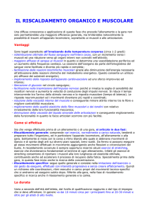 IL RISCALDAMENTO ORGANICO E MUSCOLARE