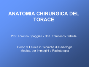 ANATOMIA CHIRURGICA DEL TORACE Dott. Francesco Petrella