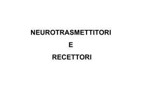 07NT e recettori2011