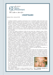 Scheda OF_settembre2009 - O.F. Ottica Fisiopatologica