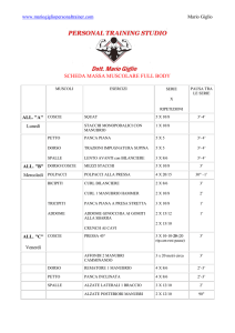SCHEDA MASSA MUSCOLARE FULL BODY