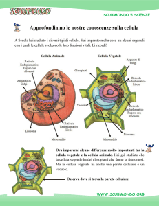 Cellula Animale e Vegetale: Differenze e Funzioni