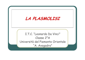 la plasmolisi - "Leonardo Da Vinci" Alessandria dal 1851 Sezioni