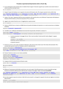 Procedura esportazione/importazione dati su Oracle 10g