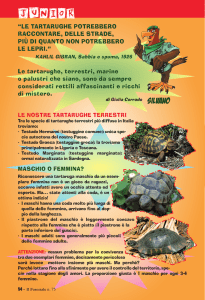 junior - Corpo Forestale dello Stato
