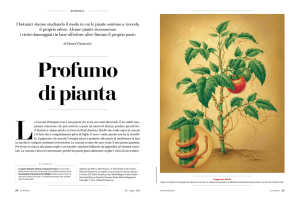 I botanici stanno studiando il modo in cui le piante