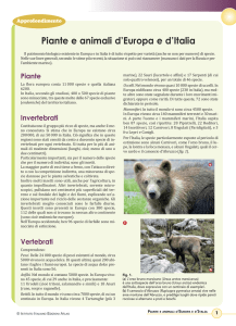 Piante e animali d`Europa e d`Italia