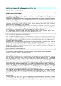 3.10 Nemici naturali della tignoletta della vite